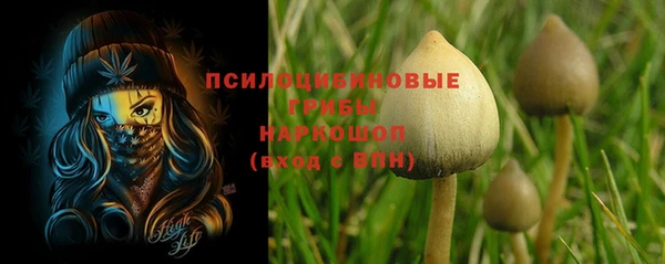 кокс Алзамай
