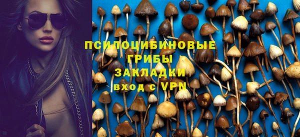СК Покровск
