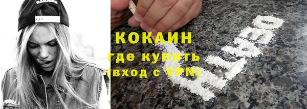 индика Алексеевка