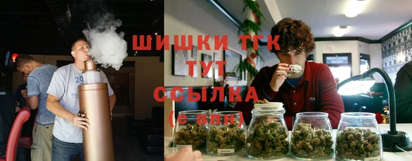 ГАЛЛЮЦИНОГЕННЫЕ ГРИБЫ Алексин