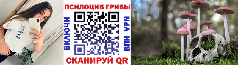 omg tor где можно купить Зеленоградск нарко площадка как зайти Псилоцибиновые грибы прущие грибы